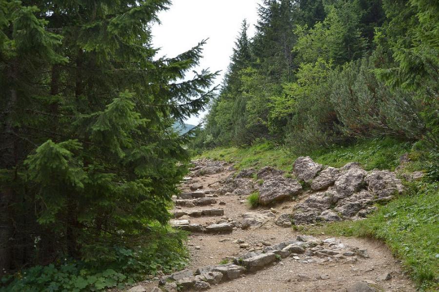 Wczasy Rodzinne OLCZAŃSKI DWOREK w Zakopanem 6-13 lat