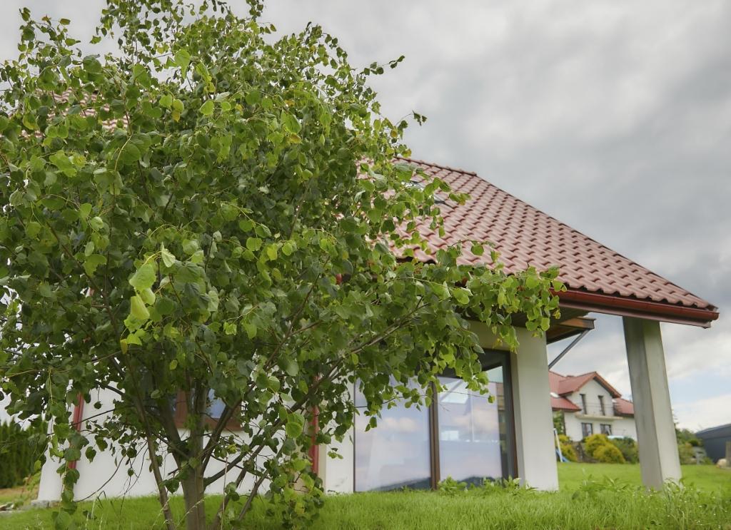 NOWY Domek 8 osobowy w górach - strefa SPA Beskid Wyspowy WOLNE TERM 500 zł