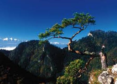 Zaproszenie  w  Pieniny